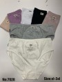 Majtki damskie, size XL-3xl paczka 24szt ,mix kolor