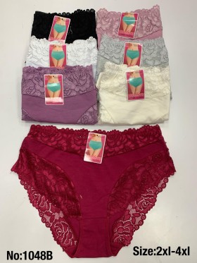 Majtki damskie, size 2-4xl paczka 24szt ,mix kolor