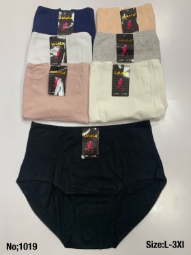Majtki damskie, size L-3xl paczka 24szt ,mix kolor