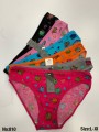 Majtki damskie, size L-xl paczka 24szt ,mix kolor