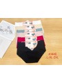 Majtki damskie, size L-2xl paczka 24szt ,mix kolor
