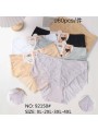 Majtki damskie, size XL-4xl paczka 24szt ,mix kolor