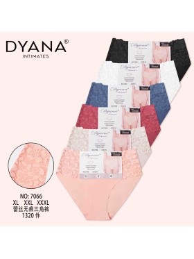 Majtki damskie, size xl-3xl paczka 24szt ,mix kolor