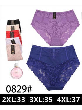 Majtki damskie, size 2-4xl paczka 24szt ,mix kolor