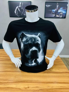 Bluzki MĘSKA,size m-2xl,paczka 12szt, mix kolor