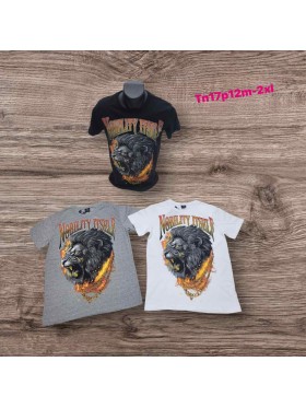 Bluzki MĘSKA,size m-2xl,paczka 12szt, mix kolor