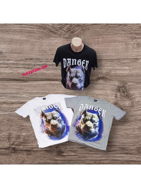 Bluzki MĘSKA,size m-2xl,paczka 12szt, mix kolor