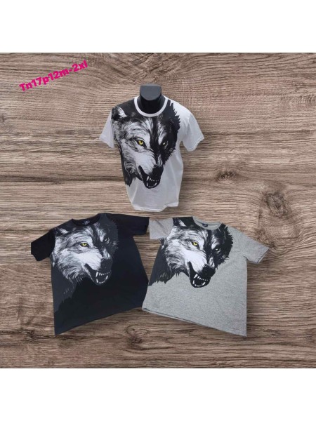 Bluzki MĘSKA,size m-2xl,paczka 12szt, mix kolor