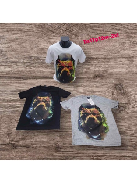 Bluzki MĘSKA,size m-2xl,paczka 12szt, mix kolor