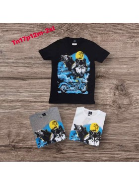 Bluzki MĘSKA,size m-2xl,paczka 12szt, mix kolor