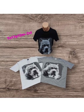 Bluzki MĘSKA,size m-2xl,paczka 12szt, mix kolor