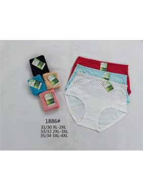 Majtki damskie, size xl-4xl paczka 24szt ,mix kolor