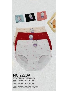 Majtki damskie, size xl-4xl paczka 24szt ,mix kolor