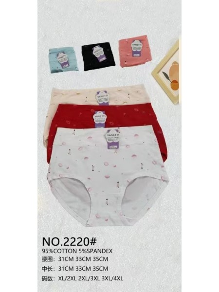 Majtki damskie, size xl-4xl paczka 24szt ,mix kolor