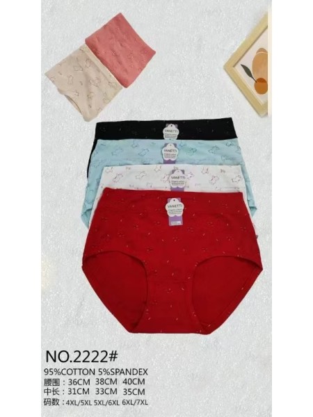 Majtki damskie, size 4-7xl paczka 24szt ,mix kolor