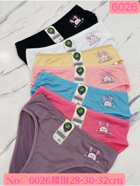 Majtki damskie, size xl-3xl paczka 24szt ,mix kolor