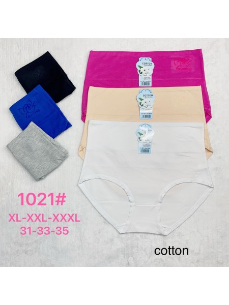 Majtki damskie, size xl-3xl paczka 24szt ,mix kolor