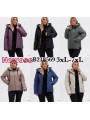 Kurtki damskie , Size 3-7xl,paczka 5szt,1 kolor