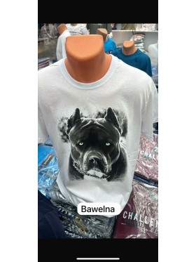 Bluzki MĘSKA, Size m-2xl ,paczka 12szt,mix kolor