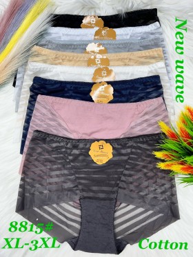 Majtki  damskie size xl-3xl , paczka 24szt mix kolor