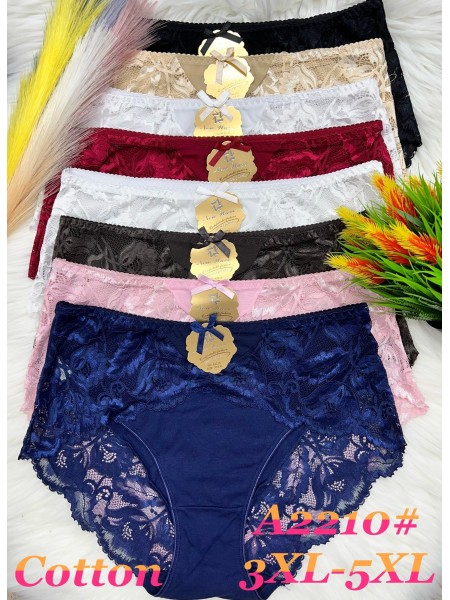 Majtki  damskie size 3-5xl , paczka 24szt mix kolor