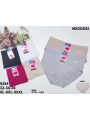 Majtki damskie size XL-3XL , paczka 24szt mix kolor