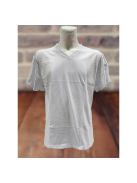 KOSZULKI MĘSKIE (FORMAX). SIZE:M-3XL (12SZT/PACZKA) KOLOR JAK NA ZDZIĘCIU