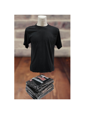 KOSZULKI MĘSKIE (AMERICAN). SIZE:M-3XL (12SZT/PACZKA) KOLOR JAK NA ZDZIĘCIU
