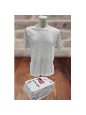 KOSZULKI MĘSKIE (AMERICAN). SIZE:M-3XL (12SZT/PACZKA) KOLOR JAK NA ZDZIĘCIU