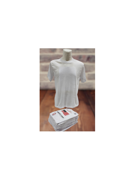 KOSZULKI MĘSKIE (AMERICAN). SIZE:M-3XL (12SZT/PACZKA) KOLOR JAK NA ZDZIĘCIU