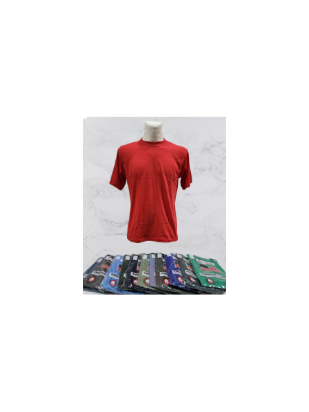 KOSZULKI MĘSKIE (AMERICAN). SIZE:M-3XL (12SZT/PACZKA) KOLOR JAK NA ZDZIĘCIU