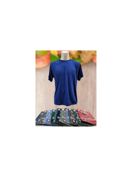 KOSZULKI MĘSKIE (AMERICAN). SIZE:3XL-5XL (12SZT/PACZKA) KOLOR JAK NA ZDZIĘCIU