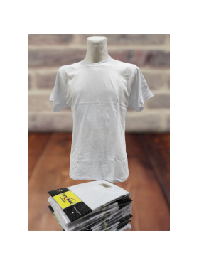 KOSZULKI CHŁOPIĘCE (FORMAX). SIZE:104-140 (12SZT/PACZKA) KOLOR JAK NA ZDZIĘCIU