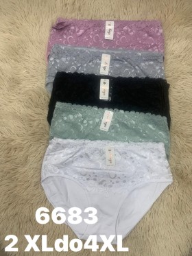 MAJTKI DAMSKIE. SIZE 2XL-4XL, KOLOR JAK NA ZDZIĘCIU (24SZT/PACZKA)