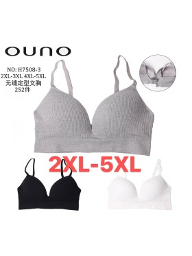 BIUTONOSZ / TOPY DAMSKIE. SIZE 2XL-5XL (12SZT/PACZKA) KOLOR JAK NA ZDZIĘCIU
