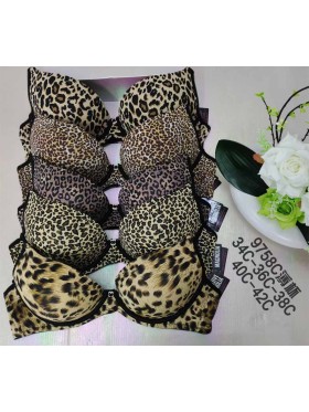 BIUTONOSZ DAMSKIE. SIZE: 75-95, MISKA C (6SZT/PACZKA) KOLOR JAK NA ZDZIĘCIU