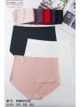 MAJTKI DAMSKIE. SIZE 2XL-4XL (24 SZT/PACZKA) KOLOR JAK NA ZDZIĘCIU