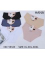 MAJTKI DAMSKIE. SIZE XL-3XL (24 SZT/PACZKA) KOLOR JAK NA ZDZIĘCIU